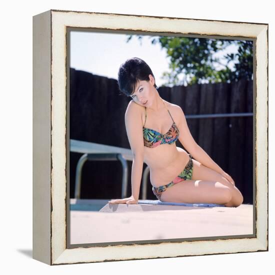 Yvonne Craig-null-Framed Stretched Canvas