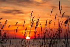 Peaceful Chesapeake Bay Sunrise in Calvert County, Maryland.-Yvonne Navalaney-Premier Image Canvas