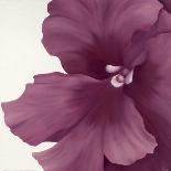 Violet Flower I-Yvonne Poelstra-Holzhaus-Mounted Art Print