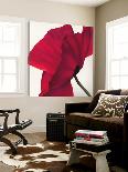 Red I-Yvonne Polestra-Holzhaus-Loft Art