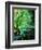 Ywoigne 45-Pol Ledent-Framed Art Print