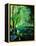 Ywoigne 45-Pol Ledent-Framed Stretched Canvas