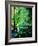 Ywoigne 45-Pol Ledent-Framed Art Print