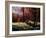 Ywoigne-Pol Ledent-Framed Art Print