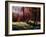 Ywoigne-Pol Ledent-Framed Art Print