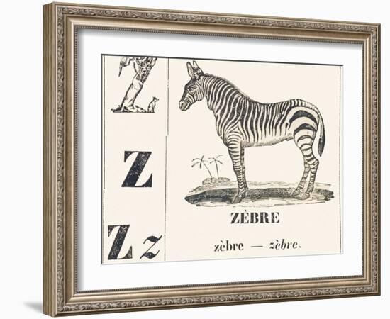 Z for Zebra, 1850 (Engraving)-Louis Simon (1810-1870) Lassalle-Framed Giclee Print
