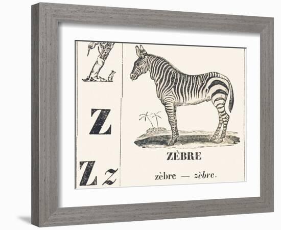 Z for Zebra, 1850 (Engraving)-Louis Simon (1810-1870) Lassalle-Framed Giclee Print