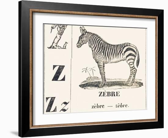 Z for Zebra, 1850 (Engraving)-Louis Simon (1810-1870) Lassalle-Framed Giclee Print