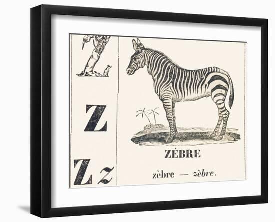 Z for Zebra, 1850 (Engraving)-Louis Simon (1810-1870) Lassalle-Framed Giclee Print