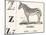 Z for Zebra, 1850 (Engraving)-Louis Simon (1810-1870) Lassalle-Mounted Giclee Print
