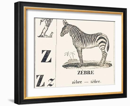 Z for Zebra, 1850 (Engraving)-Louis Simon (1810-1870) Lassalle-Framed Giclee Print