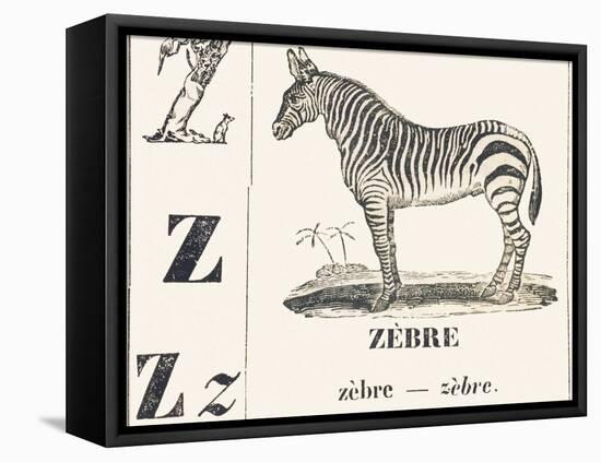 Z for Zebra, 1850 (Engraving)-Louis Simon (1810-1870) Lassalle-Framed Premier Image Canvas