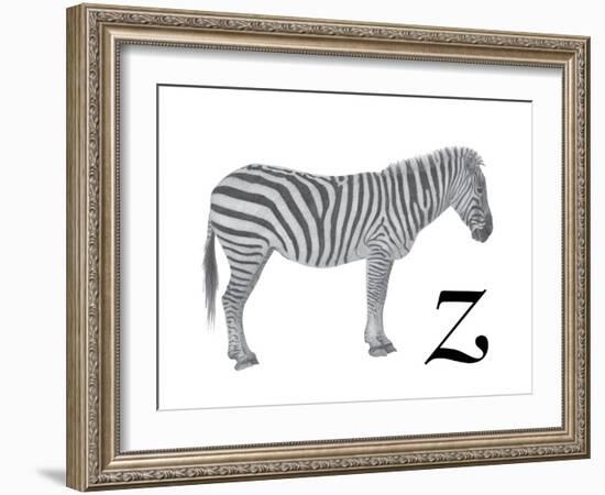 Z is for Zebra-Stacy Hsu-Framed Art Print