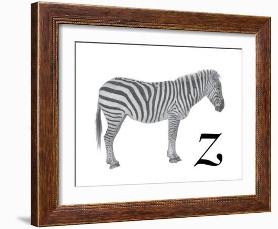 Z is for Zebra-Stacy Hsu-Framed Art Print