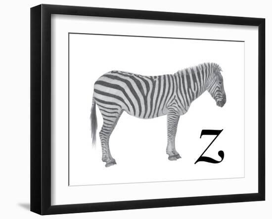 Z is for Zebra-Stacy Hsu-Framed Art Print