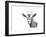 Z10 Goat-Let Your Art Soar-Framed Giclee Print