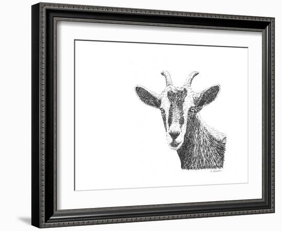 Z10 Goat-Let Your Art Soar-Framed Giclee Print