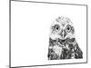 Z15 Owl-Let Your Art Soar-Mounted Giclee Print