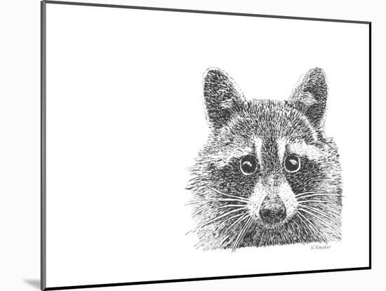 Z19 Raccoon-Let Your Art Soar-Mounted Giclee Print