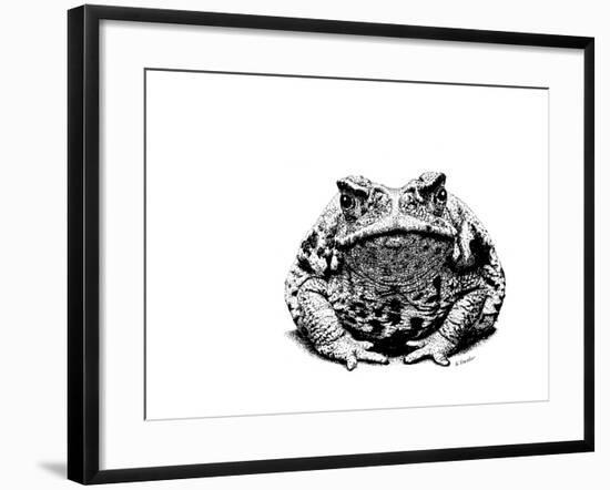 Z21 Toad-Let Your Art Soar-Framed Giclee Print