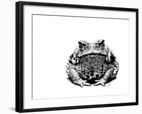 Z21 Toad-Let Your Art Soar-Framed Giclee Print