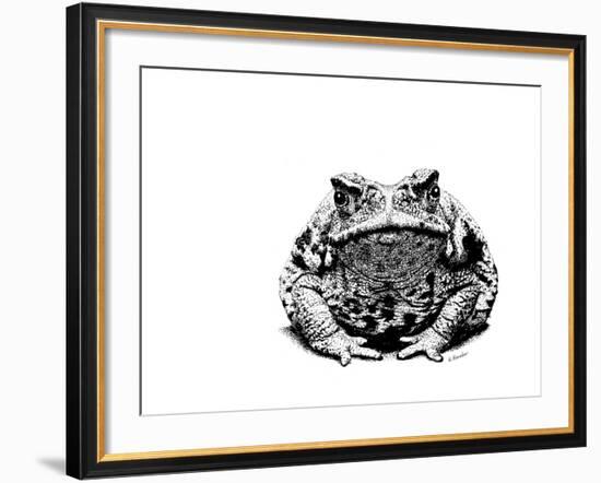 Z21 Toad-Let Your Art Soar-Framed Giclee Print