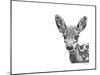 Z6 Deer-Let Your Art Soar-Mounted Giclee Print
