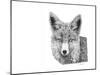 Z8 Fox-Let Your Art Soar-Mounted Giclee Print