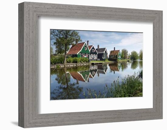 Zaanse Schans, Zaandam Near Amsterdam, Holland, the Netherlands-Gary Cook-Framed Photographic Print