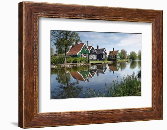 Zaanse Schans, Zaandam Near Amsterdam, Holland, the Netherlands-Gary Cook-Framed Photographic Print