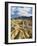 Zabriskie Point-Rudy Sulgan-Framed Photographic Print