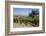 Zaca Mesa Winery and Vineyards-Stuart Black-Framed Photographic Print