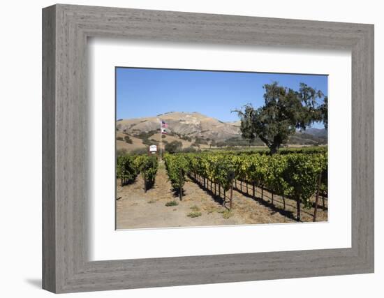 Zaca Mesa Winery and Vineyards-Stuart Black-Framed Photographic Print