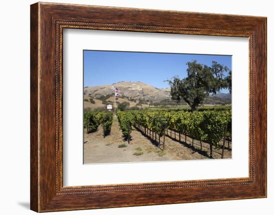 Zaca Mesa Winery and Vineyards-Stuart Black-Framed Photographic Print