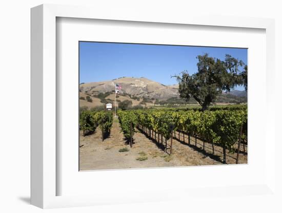 Zaca Mesa Winery and Vineyards-Stuart Black-Framed Photographic Print