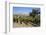 Zaca Mesa Winery and Vineyards-Stuart Black-Framed Photographic Print