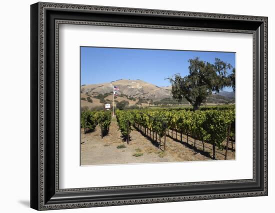 Zaca Mesa Winery and Vineyards-Stuart Black-Framed Photographic Print