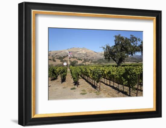 Zaca Mesa Winery and Vineyards-Stuart Black-Framed Photographic Print