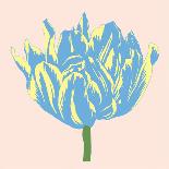 Soho Tulip I-Zachary Alexander-Art Print