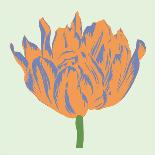 Soho Tulip I-Zachary Alexander-Art Print