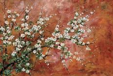 Wild Plum Blossoms-Zachary Alexander-Framed Stretched Canvas