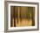 Zadel-David Baker-Framed Photographic Print