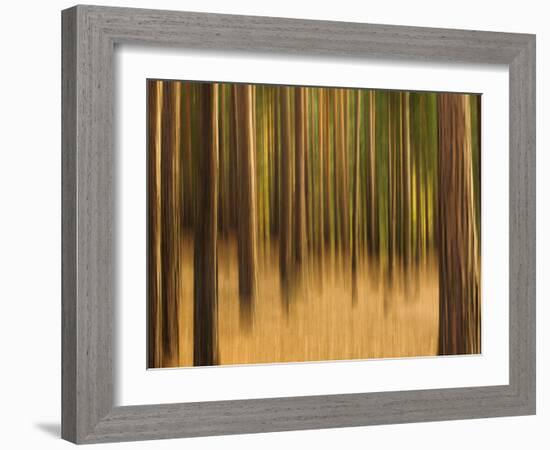 Zadel-David Baker-Framed Photographic Print