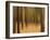 Zadel-David Baker-Framed Photographic Print