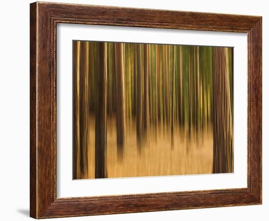 Zadel-David Baker-Framed Photographic Print