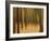 Zadel-David Baker-Framed Photographic Print