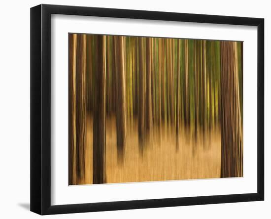 Zadel-David Baker-Framed Photographic Print