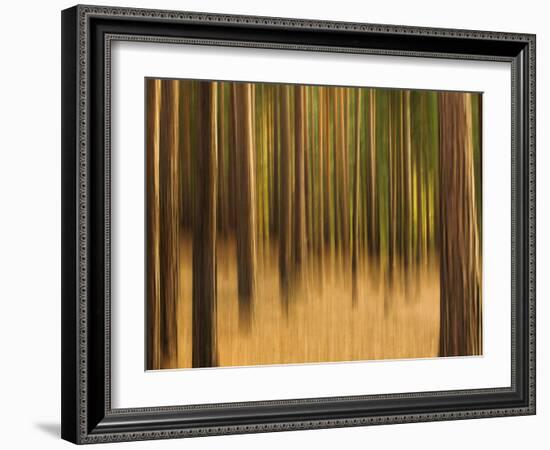 Zadel-David Baker-Framed Photographic Print