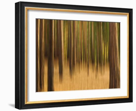 Zadel-David Baker-Framed Photographic Print