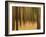 Zadel-David Baker-Framed Photographic Print